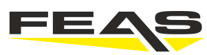 FEAS logo